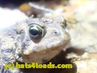 /home//u458753944/public_html/sourcegallery////////////////McKaig Nature Center/2024-09-27/P9271556.JPG
